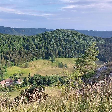 Ferienwohnung Schatz Albstadt Zewnętrze zdjęcie